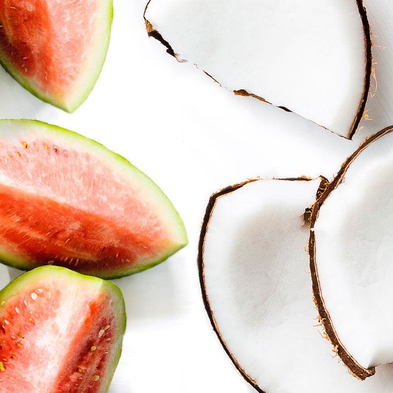 Acondicionador Reparación Blum