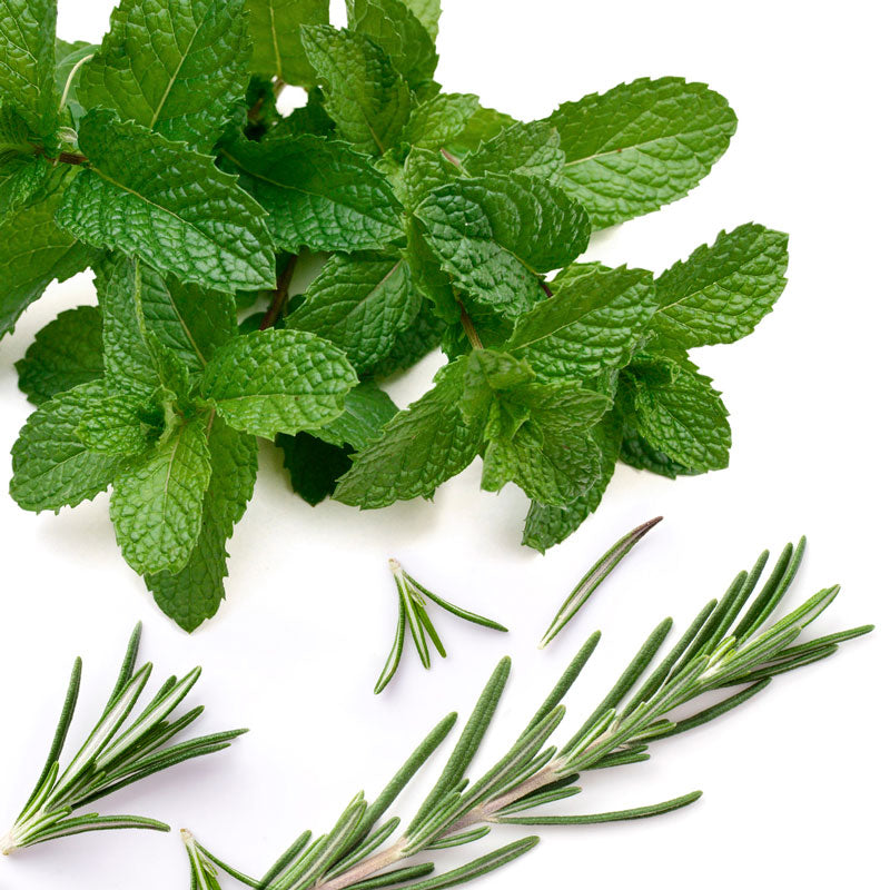 Champú Control Caspa Blum